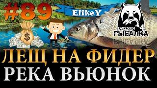 Лещ возле камыша! • Фарм Серебра • Отличный клев на Фидер • Река Вьюнок • Русская Рыбалка 4 #89