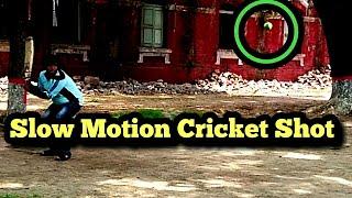 Slow Motion Cricket Shot | Rabin Travel & Vlog Creation