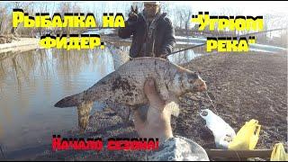 Рыбалка на фидер. "Угрюм река" - начало сезона! Feeder fishing in Siberia.