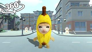 VR 360 Banana Cat running away from Puppies