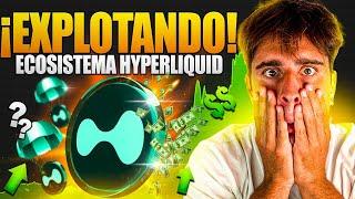 mi PLAN para GANAR MUCHO DINERO con HYPERLIQUID (Todo explicado)