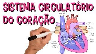  SISTEMA CARDIOVASCULAR | SISTEMA CIRCULATÓRIO DO CORAÇÃO