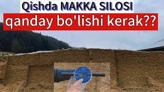 Ideal Makka SILOS qanday bo'lishi kerak? @Ideal_Agrar #ozuqa #idealagrar #qoramol