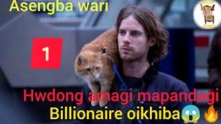Real story of James and Bob/A Street cat named Bob Explanation/Survival Story/Manipuri viral  