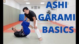 Ashi garami Basics