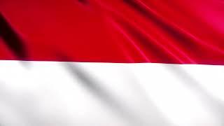 [11 Hours] Indonesian Flag Waving - Waving Flags