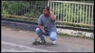 saraj comedy video #trending #comedy #comedyvideo #video