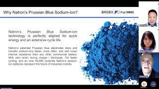 Sodium Ion Battery WEBINAR: Shaping Up to Be a Big Technology Breakthrough