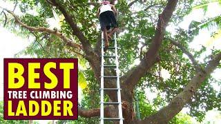 Best Tree Climbing Ladder | Agriculture Ladder