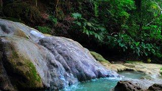 Calming waterfall and nature , Beautiful Mountain River Flowing , Sleeping Noise for Deep Sleeping