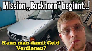 Großes Geschäft mit Käferteilen? Operation „Bockhorn“ beginnt… | Neues Geschäftsfeld?