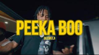 (FREE) Dee Mula x Dracbaby | Type Beat 2023 - "Peeka Boo"