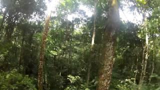 Zip line in the Amazon with Street View