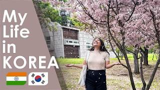 Indian Girl finds Cherry Blossoms in KOREA