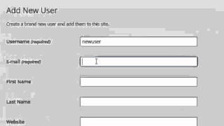 Adding a user to WordPress