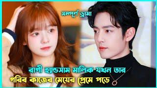 লাভ স্টোরি  Maid of Blind Master Movie Explain in Bangla || Korean Drama Bangla 🟤 Movie Story SJ