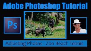 Photoshop CC How to Make Basic Photo Adjustments and Use Lasso Select - Photoshop Beginners Tutorial