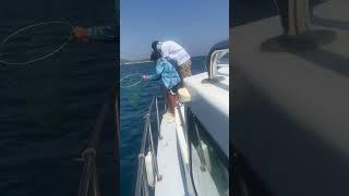 Slow Jig İle Antenli Mercan Avım… #fishing #youtube #youtubeshorts #shorts