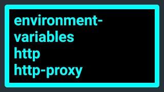 Are HTTP_PROXY, HTTPS_PROXY and NO_PROXY environment variables standard?