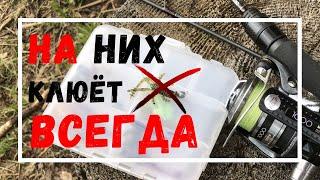 ТОП 3 ПРИМАНКИ ДЛЯ МИКРОДЖИГА | ЛОВЛЯ ОКУНЯ НА СПИННИНГ