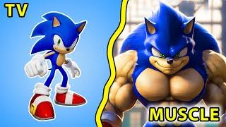  SONIC the Hedgehog CHARACTERS are MUSCLE