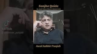 Sanjha Punjabi Qaida by Aamir Zaheer Bhatti & Mohsin Arain