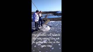 How to harvest coarse Celtic sea salt