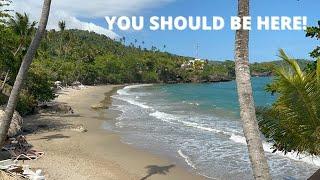 Bahia Principe Luxury Samana Dominican Republic Tour