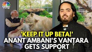 SRK, Sachin Tendulkar, Anand Mahindra And Others Praise Anant Ambani’s Vantara | N18V | CNBC TV18