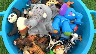 Zoo Animal Toys in a Tub!  Kids Learning with Sounds & Fun