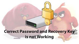 Solved: Bitlocker Won't Unlock With Correct Password and Recovery Key After Reinstalling Windows