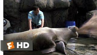 Vomiting Walrus - 50 First Dates (3/8) Movie CLIP (2004) HD