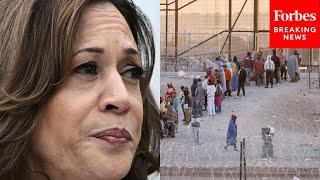 GOP Lawmaker Labels Kamala Harris As ‘Chief Executive Officer Of President Biden’s Border Crisis’