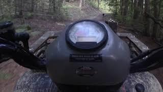 ATV ride in the woods with Raven
