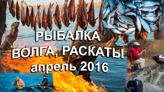 Рыбалка Волга Раскаты Весна 2016