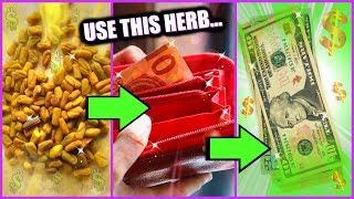 USE FENUGREEK TO ATTRACT MONEY! │ POWERFUL HERB FOR INCREASING ABUNDANCE, LOVE, AND PROSPERITY