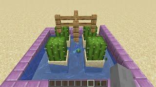 easy cactus farm