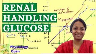 Renal handling of glucose | Renal splay | Transport maximum | Renal system physiology  mbbs lectures