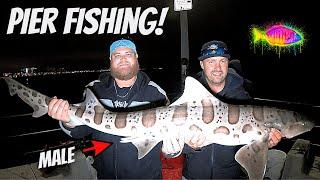 How To Catch FISH From ANY PIER | RIGS & BAIT (EPIC CATCHES!)