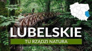 WOJEWÓDZTWO LUBELSKIE - tu rządzi natura!  Ponad 30 atrakcji i miejsc na weekend i wakacje