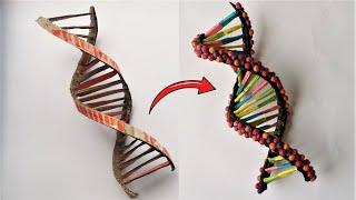 Cardboard DNA Model Project