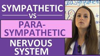 Sympathetic and Parasympathetic Nervous System (Autonomic) Anatomy, Pharmacology Nursing