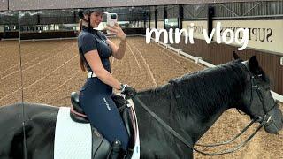 mini vlog - tack up gee