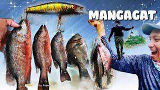 MANGROVE JACK!  FISH ON! #projectrebs