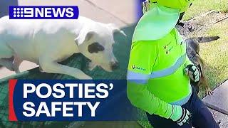 Australia Post urging owners to control dogs over safety concerns | 9 News Australia