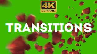 Rose Petals Transitions Green Screen Video (Free Transitions for Love & Valentines Day Gift) 4K