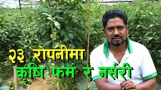 ९ वर्षको विदेश पछि अब आफ्नै कृषि फर्ममा || Vegetable Farming in Nepal ||