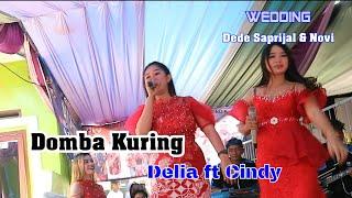 Domba Kuring - Delia ft Cindy - Wedding Dede & Novi - DISVA entertainment - DISVA production.