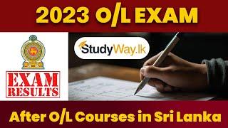 අ.පො.ස. සාමාන්‍ය පෙල විභාගයෙන් පසුව ඔබ පාඨමාලාවක් හැදෑරිය යුත්තේ ඇයි ? | After O/l courses