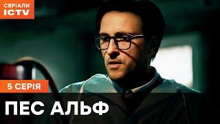 Пес Альф 1 сезон 5 серия | ДЕТЕКТИВЫ | СЕРИАЛ ICTV| КОМЕДИИ